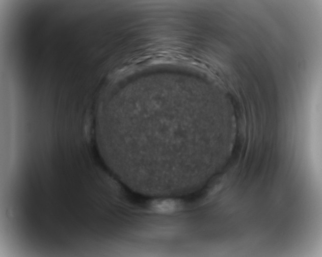 X0000088180181200705291959