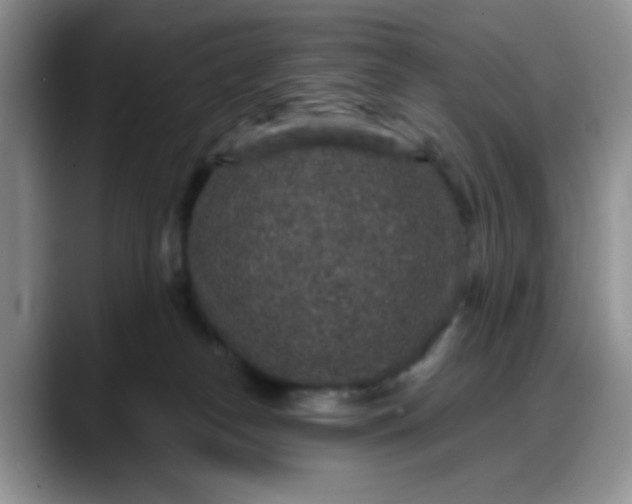 X0000088180182200705291959