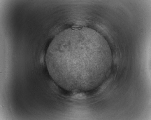 X0000088180185200705291959