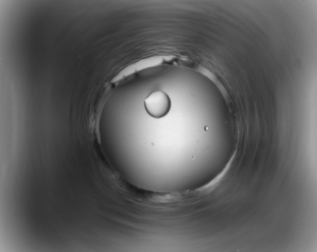 X0000088180190200705291959