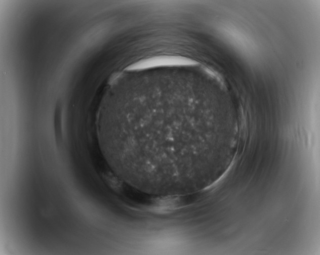 X0000088180191200705291959