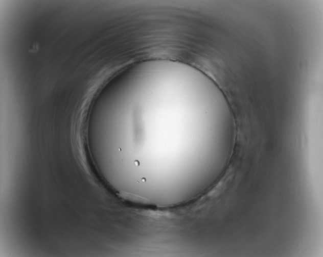 X0000088180193200705291959