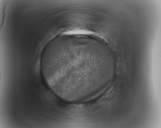 X0000088180194200705291959