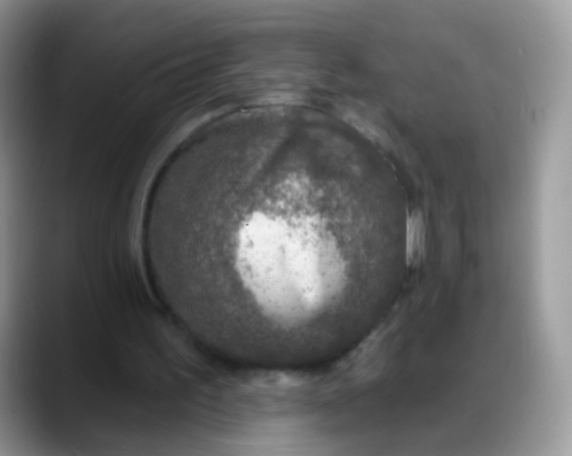 X0000088180195200705291959