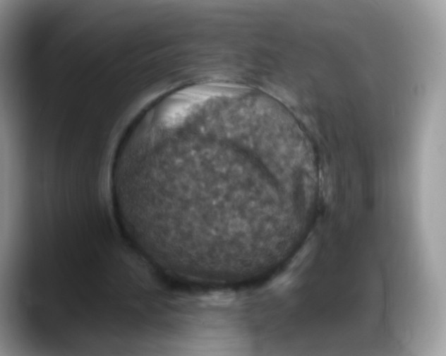 X0000088180196200705291959