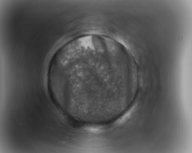 X0000088180199200705291959