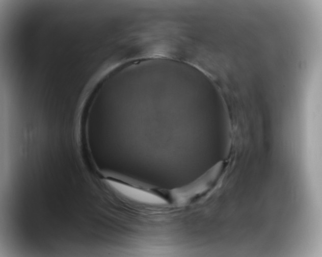 X0000088180200200705291959