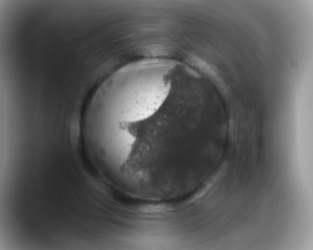 X0000088180202200705291959