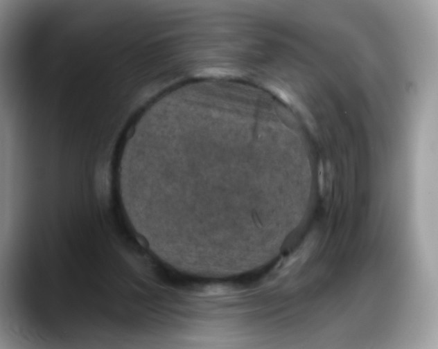 X0000088180204200705291959