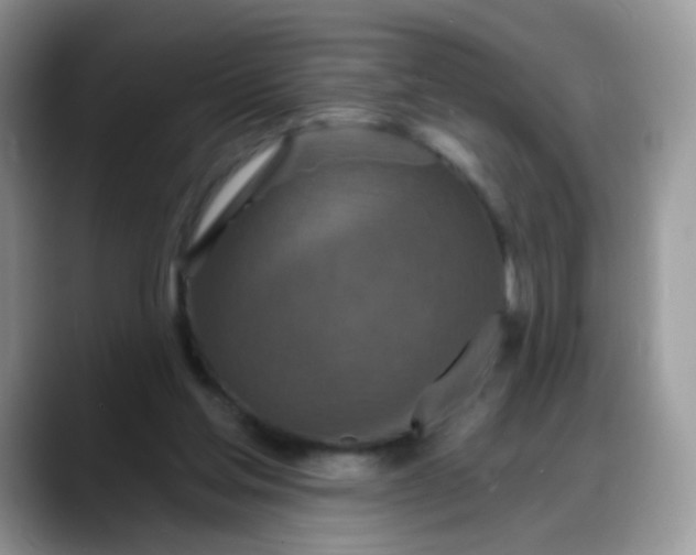 X0000088180205200705291959