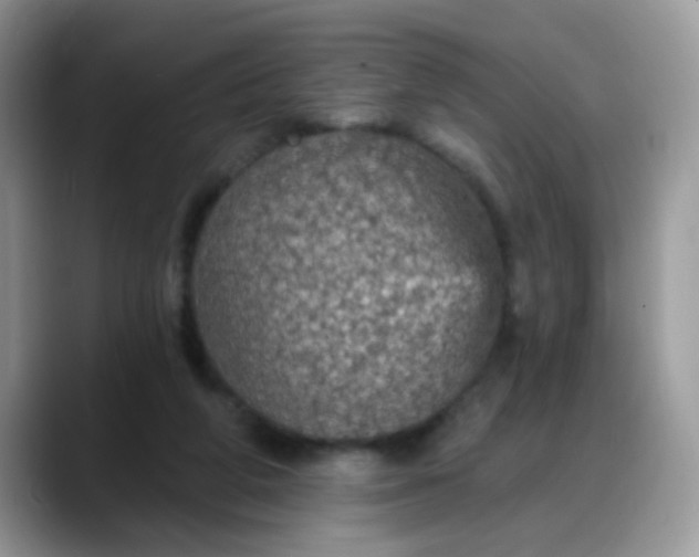 X0000088180210200705291958