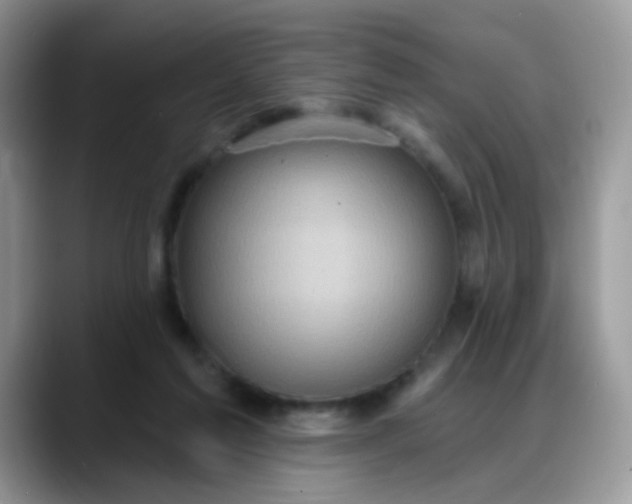 X0000088180213200705291958