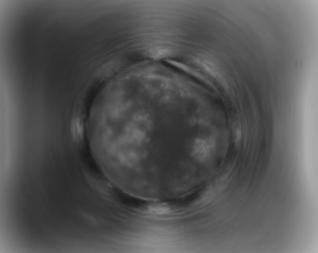 X0000088180214200705291958