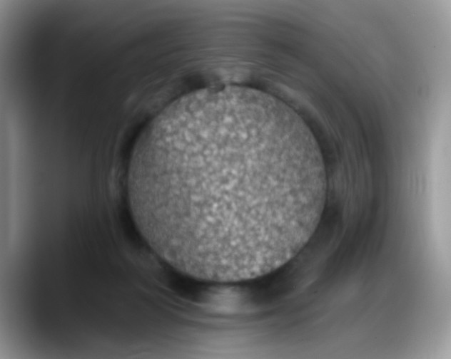 X0000088180218200705291958