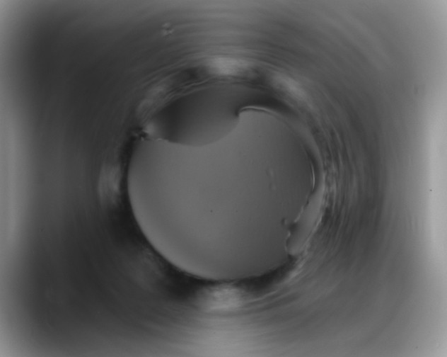 X0000088180219200705291958