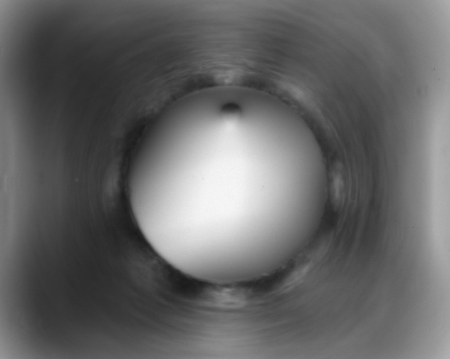 X0000088180221200705291958