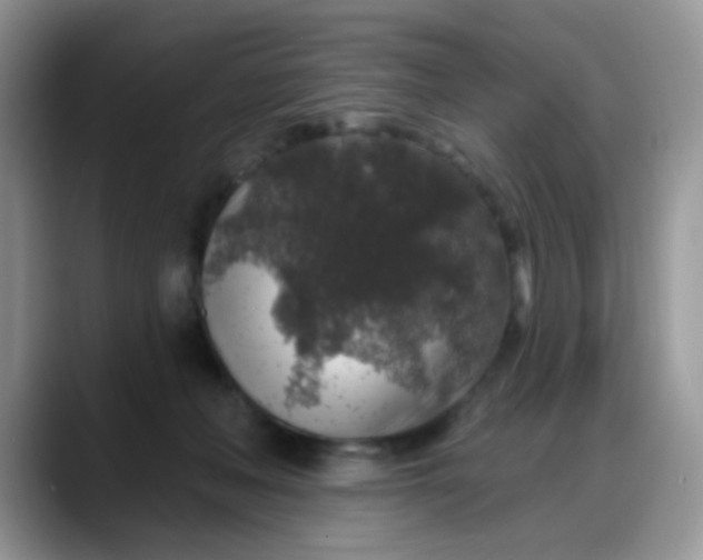 X0000088180222200705291958