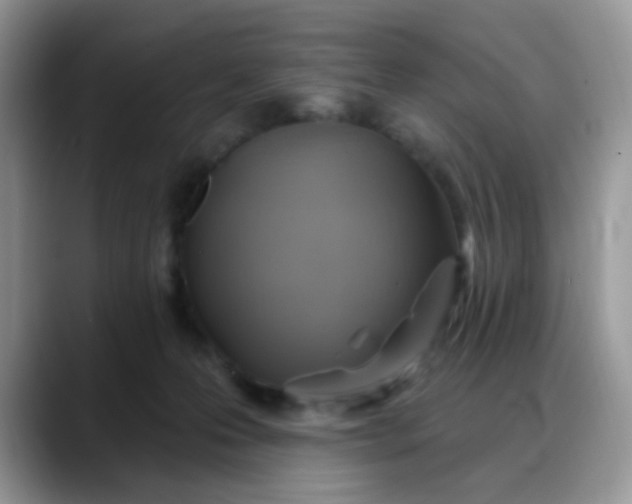 X0000088180223200705291958