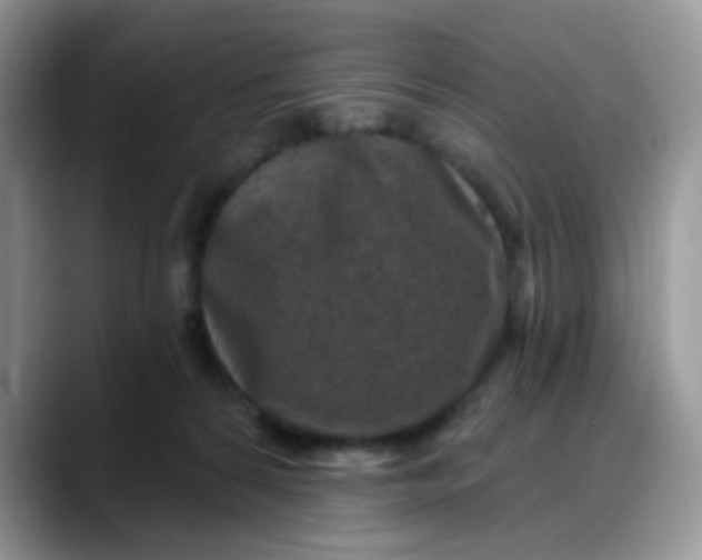 X0000088180224200705291958