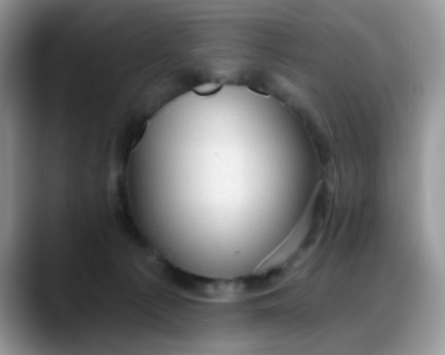 X0000088180225200705291958