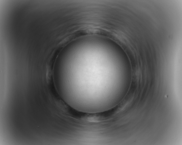 X0000088180228200705291958