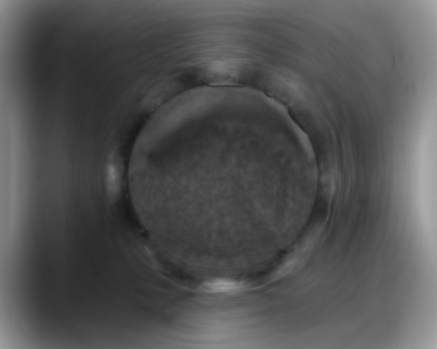 X0000088180231200705291958