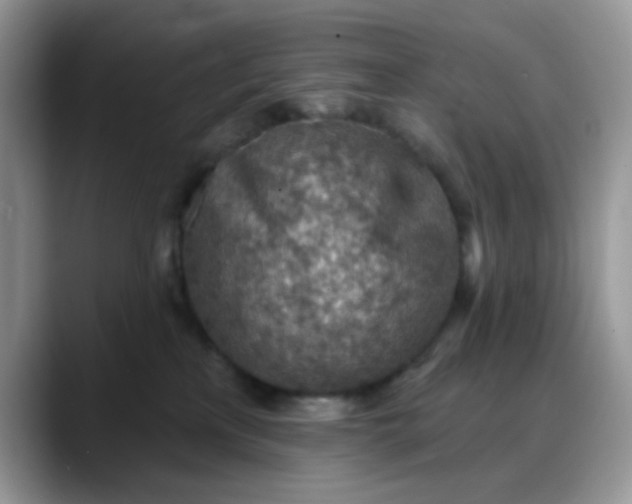 X0000088180233200705291958