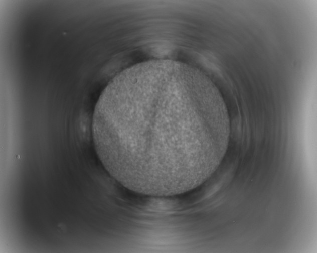 X0000088180234200705291958