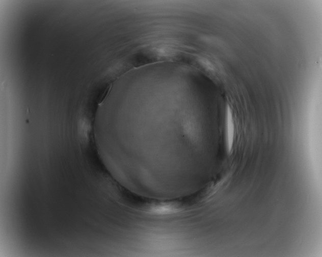 X0000088180235200705291958