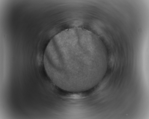 X0000088180236200705291958