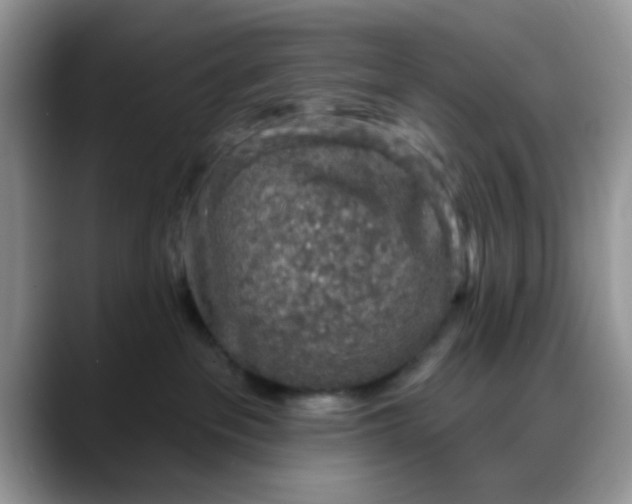 X0000088180237200705291958