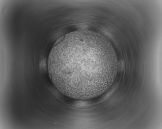 X0000088180238200705291958