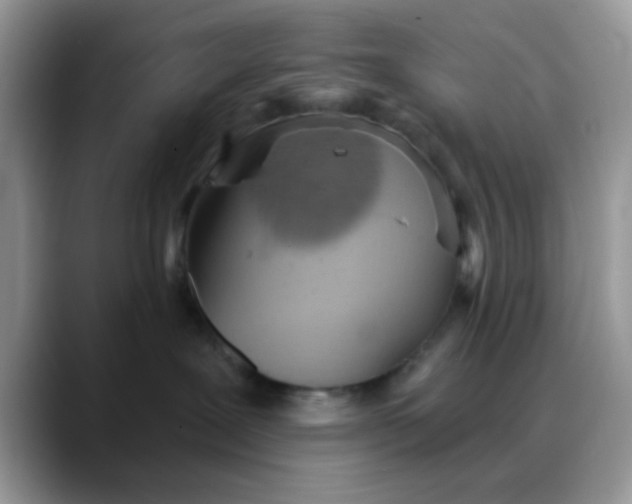 X0000088180239200705291958