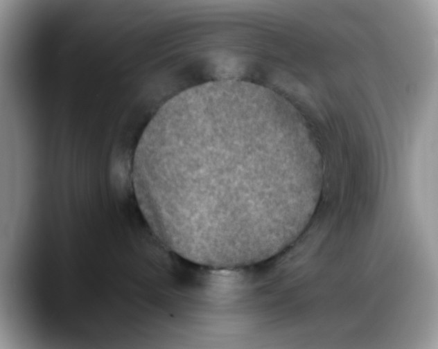 X0000088180240200705291958