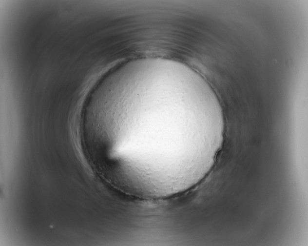 X0000088180241200705291957