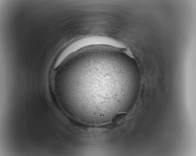 X0000088180242200705291957