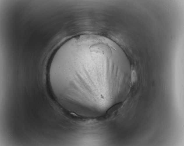 X0000088180243200705291957