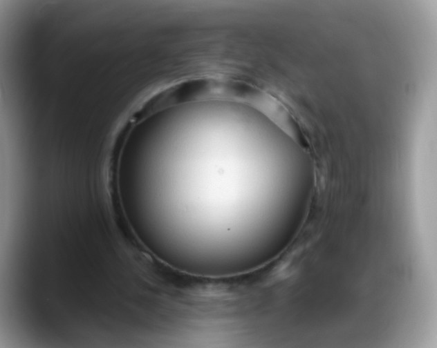 X0000088180244200705291957