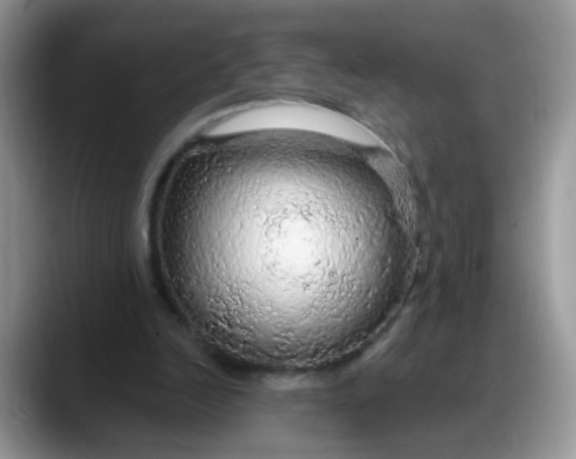 X0000088180246200705291957