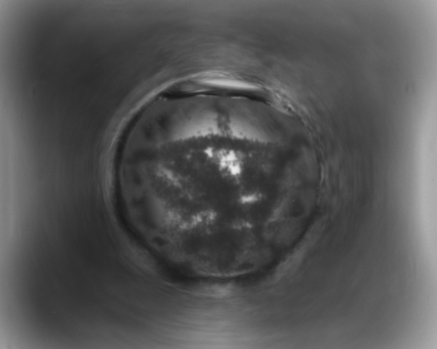 X0000088180247200705291958