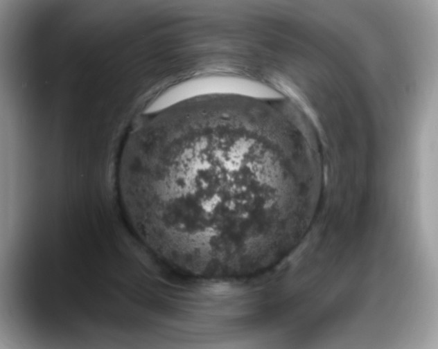 X0000088180249200705291958