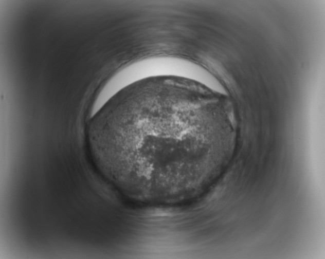 X0000088180250200705291958