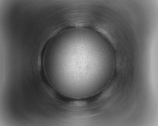 X0000088180251200705291958