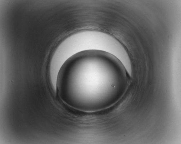 X0000088180252200705291958