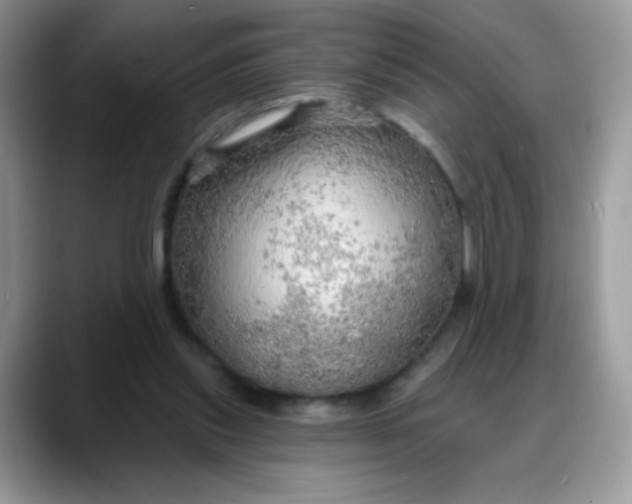 X0000088180253200705291958