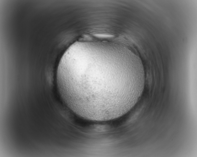 X0000088180255200705291958