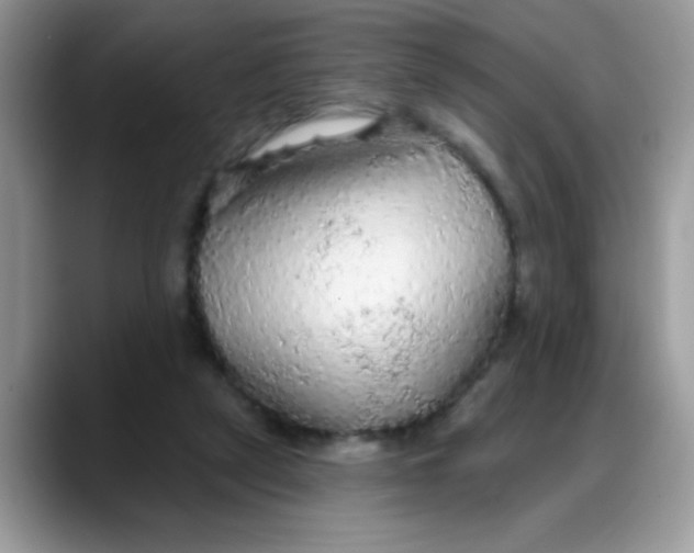 X0000088180257200705291958