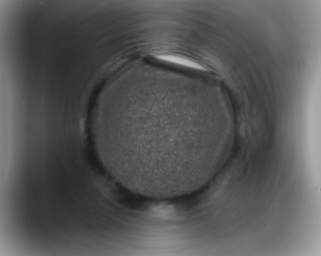 X0000088180258200705291958