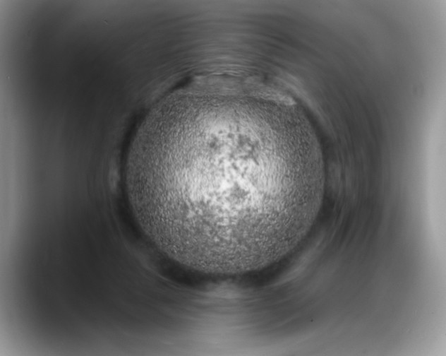 X0000088180259200705291958