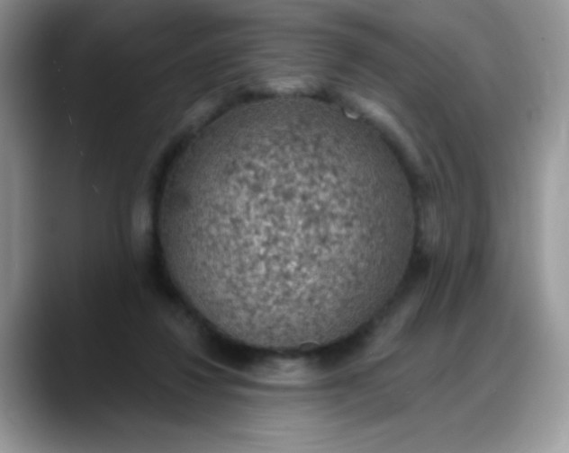 X0000088180260200705291958